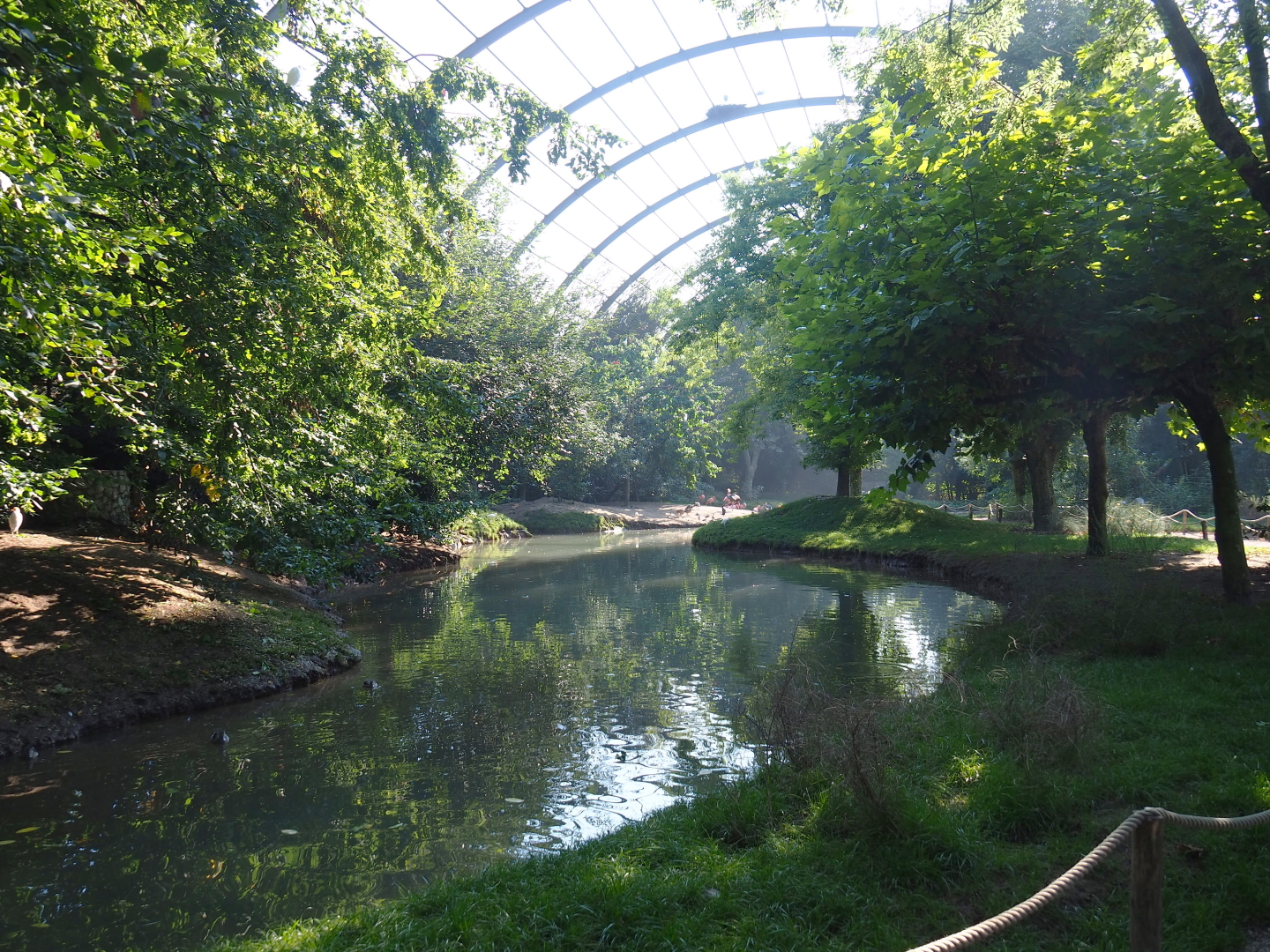 View into the giant walk-through aviary, called the cathedral aviary by the park, 2021-09-03