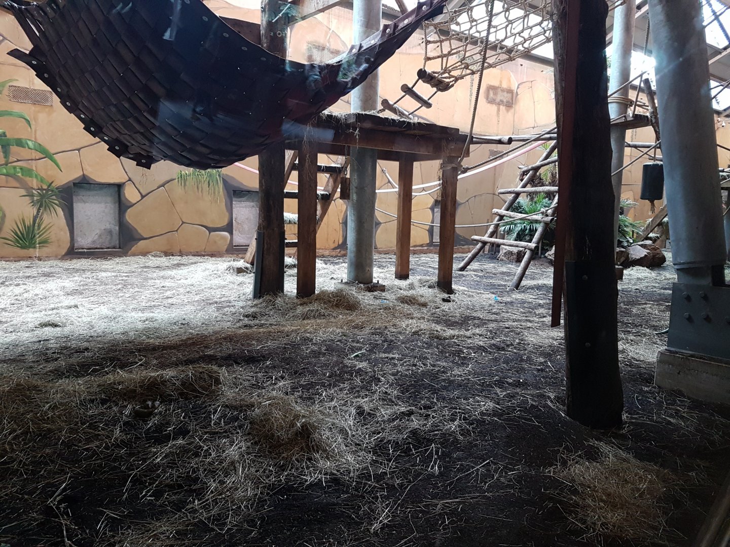 View into the Gorilla - Meerkat indoor-enclosure