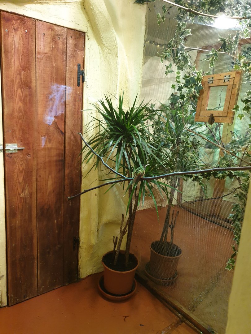 View into the Hummingbird enclosures