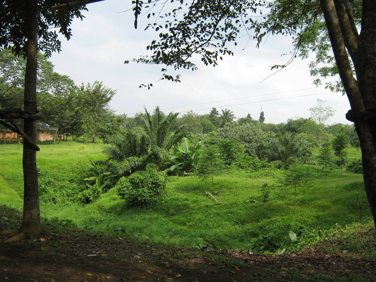 view into the interior of the zoo grounds