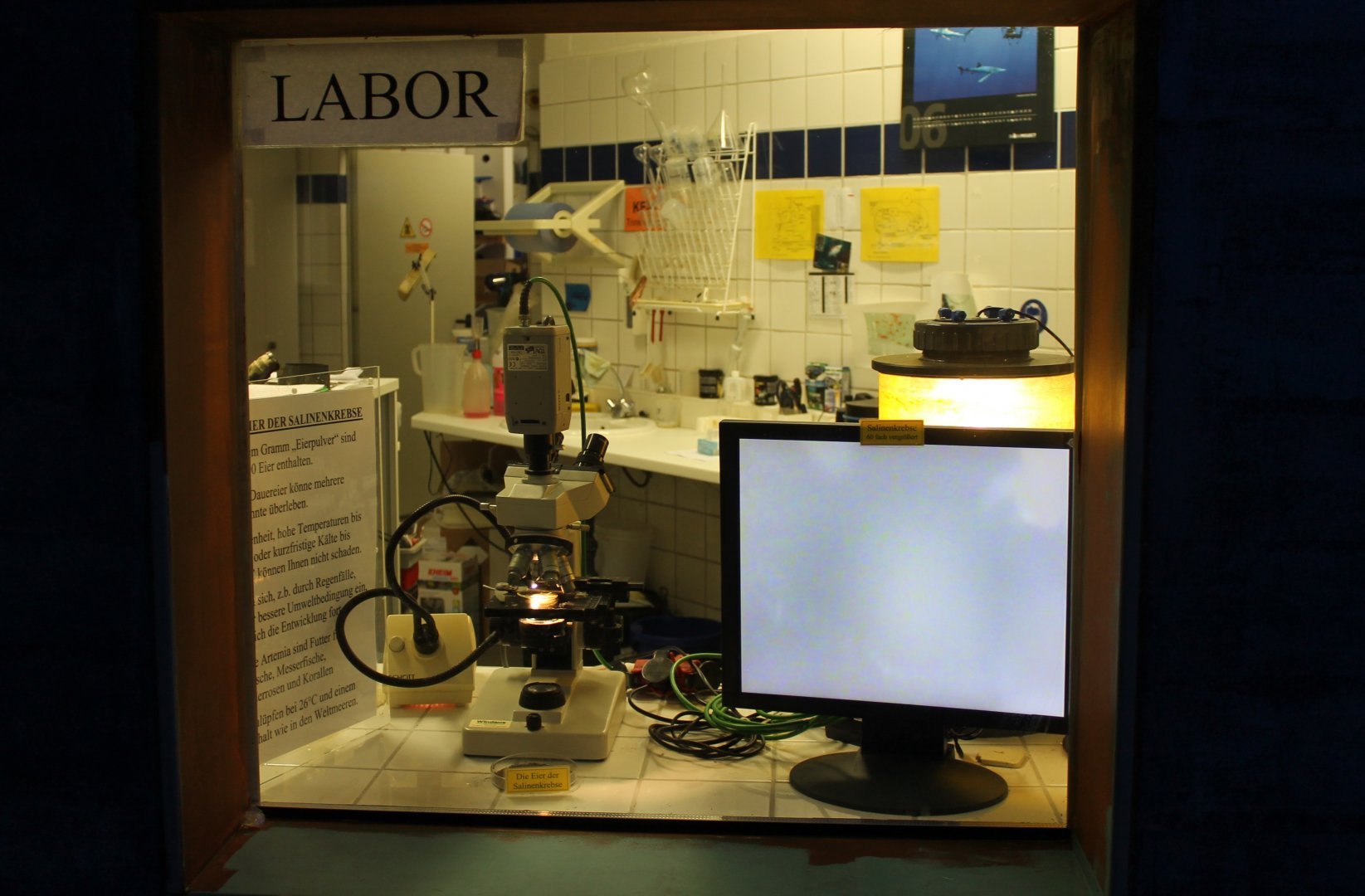 View into the Lab