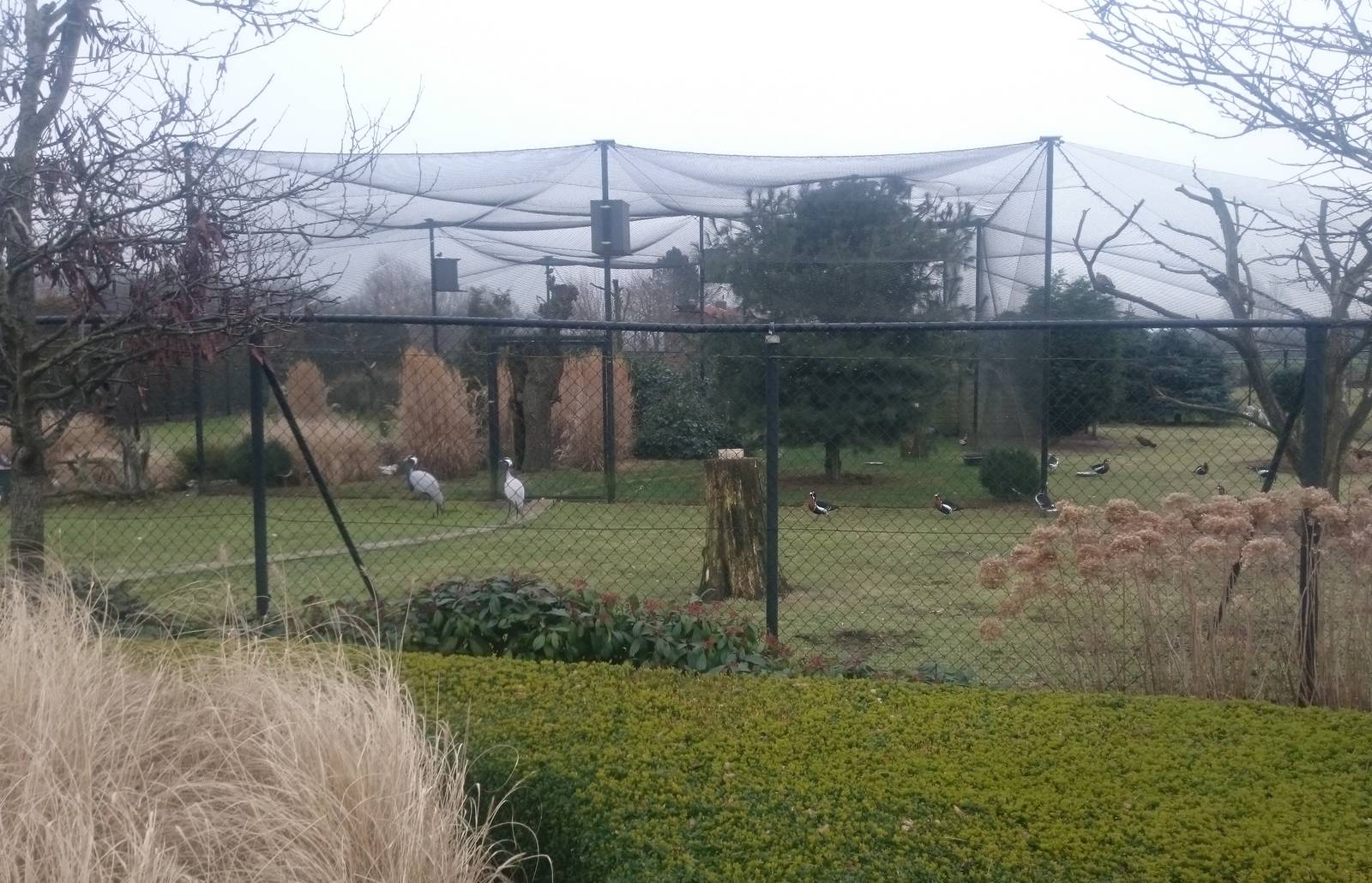 View into the large aviary