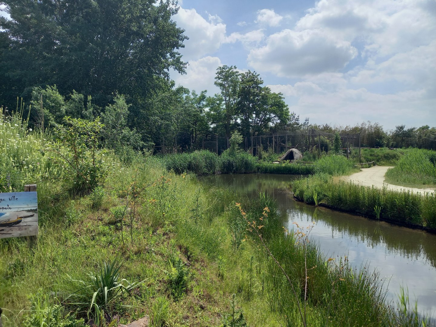 View into the Madagascar-area