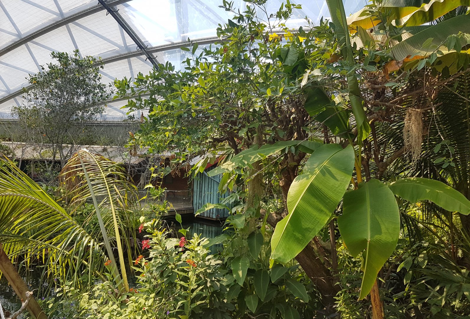 View into the Mangrove-hall