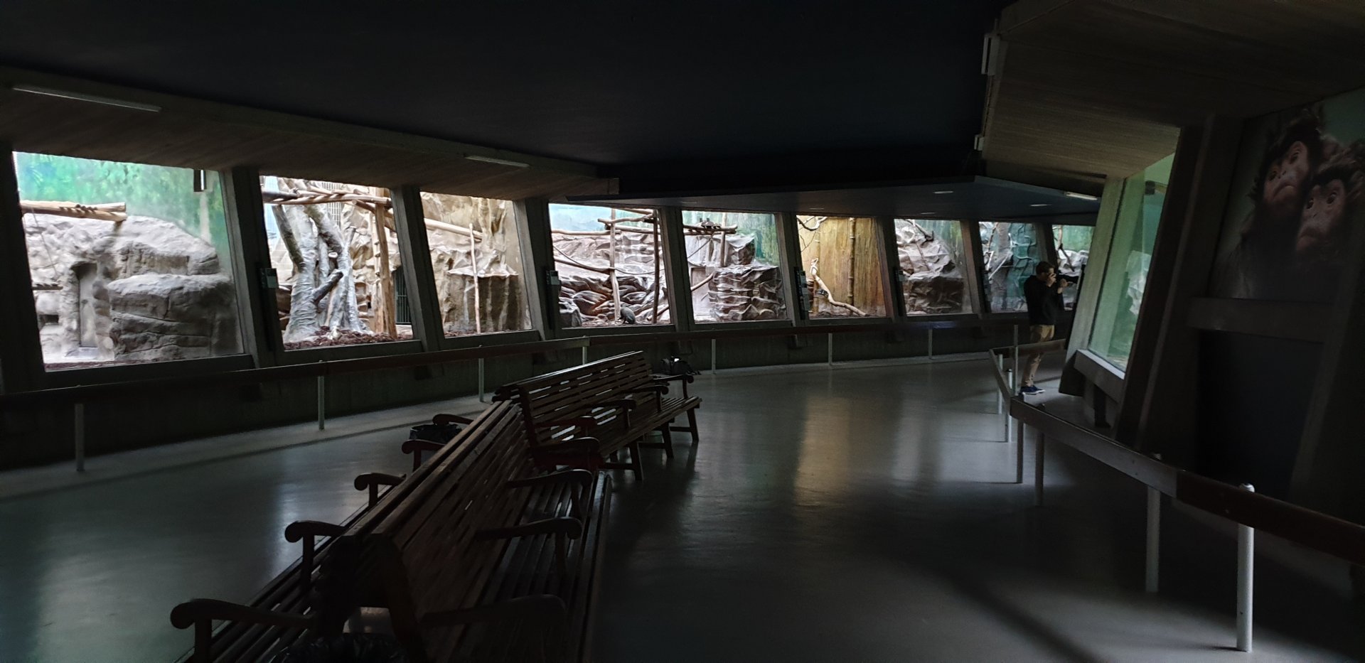 View into the Monkey-house