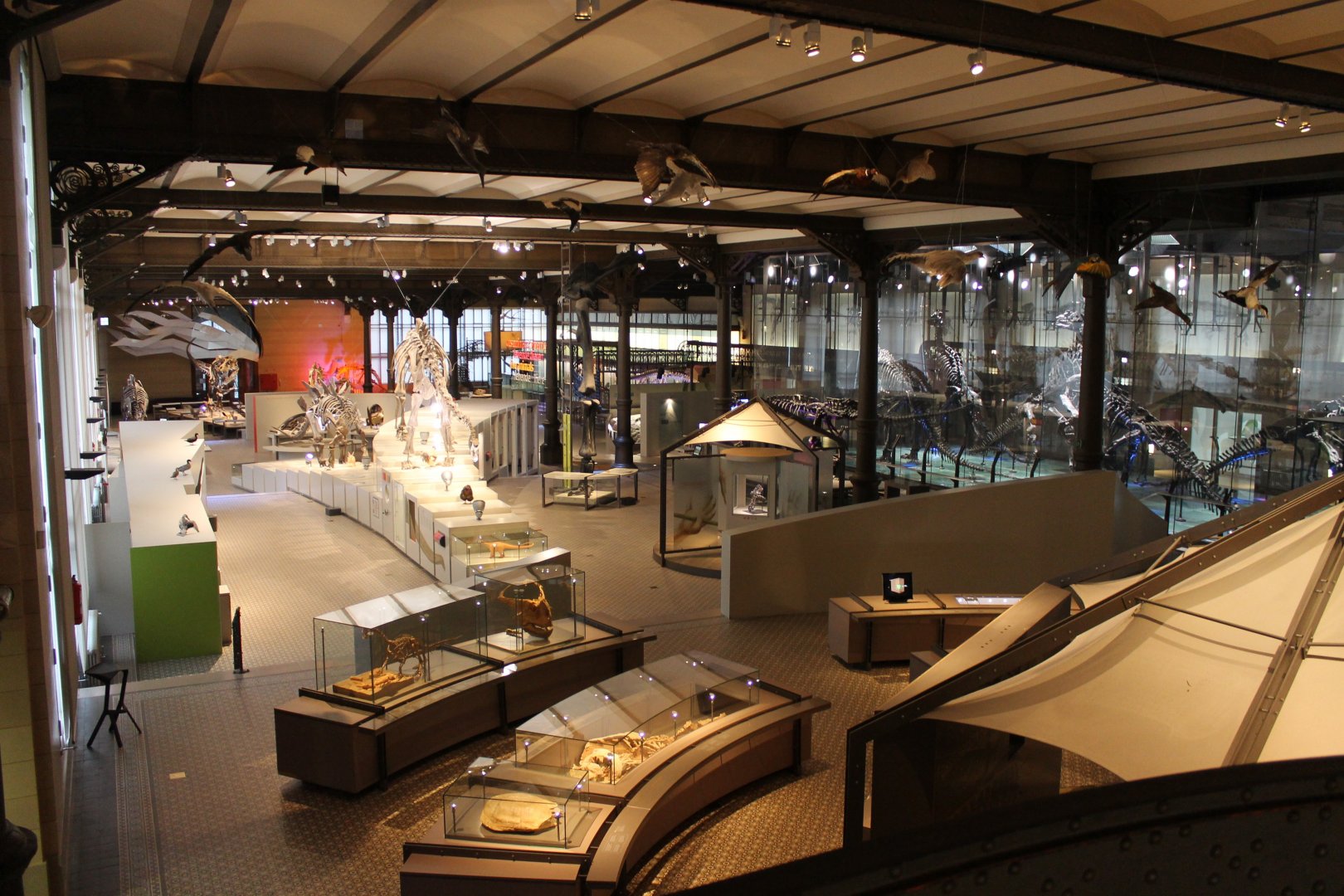 View into the Museum