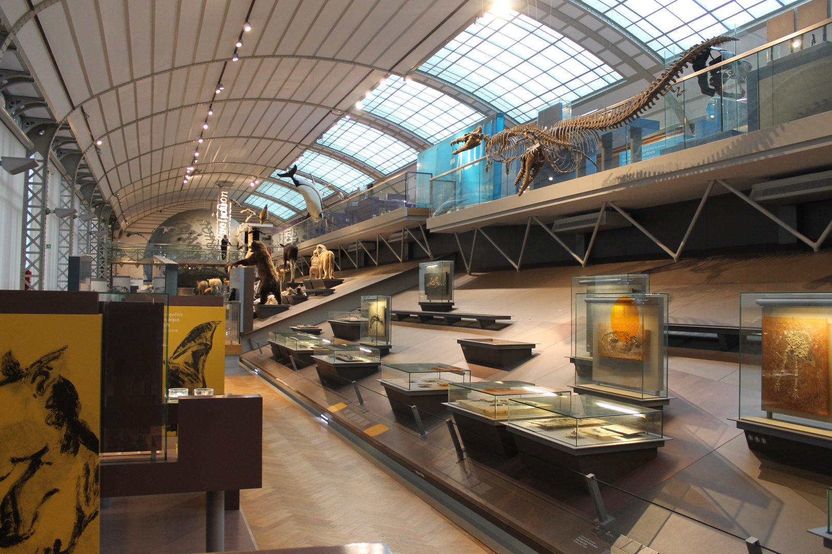 View into the Museum