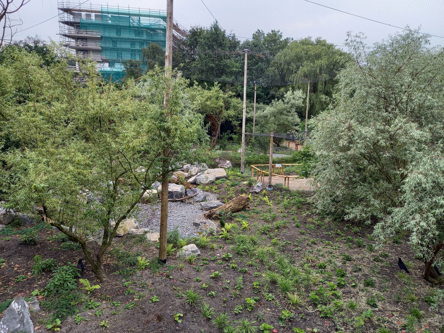 View into the new Steller's sea-eagle aviary