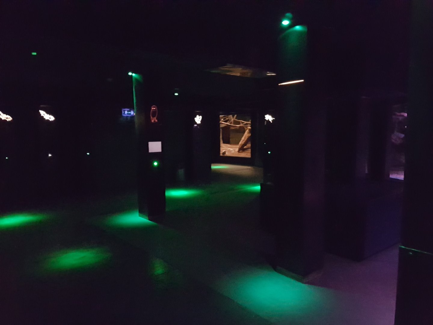 View into the Nocturnal House