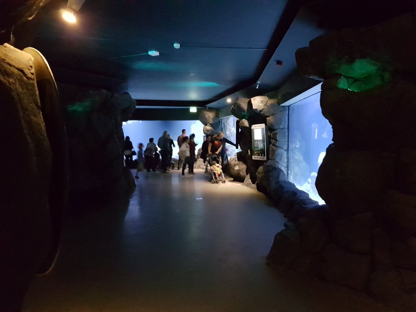 View into the Oceanium