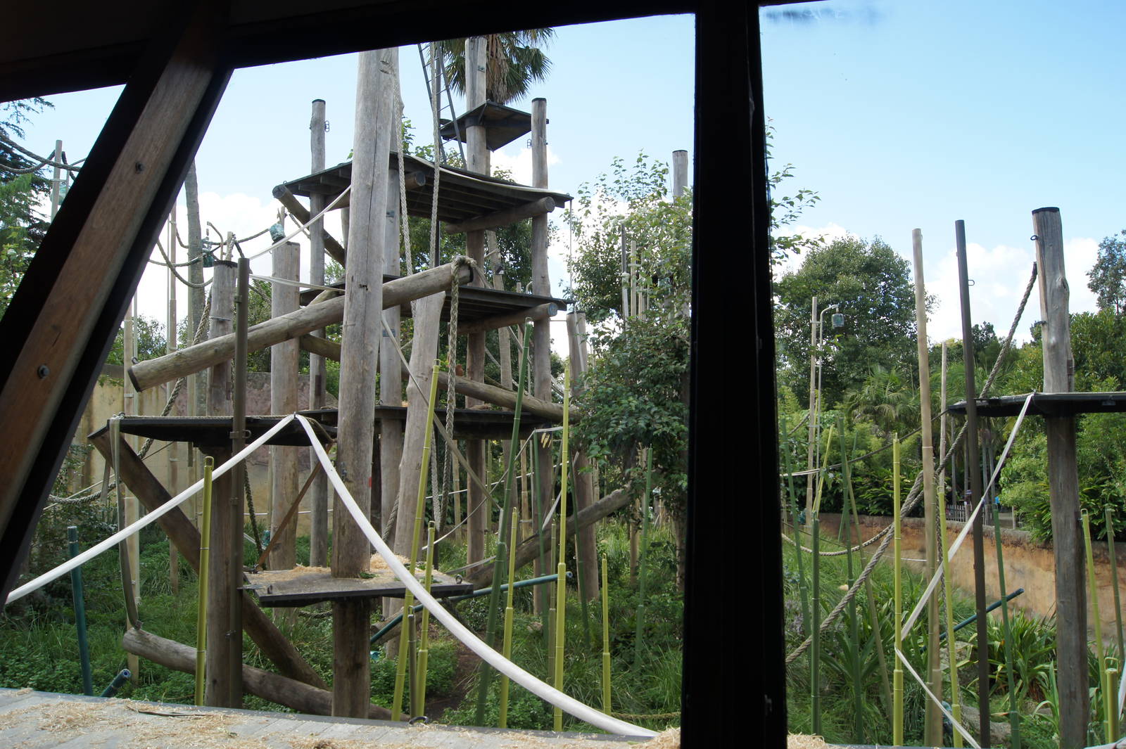 View into the open exhibit