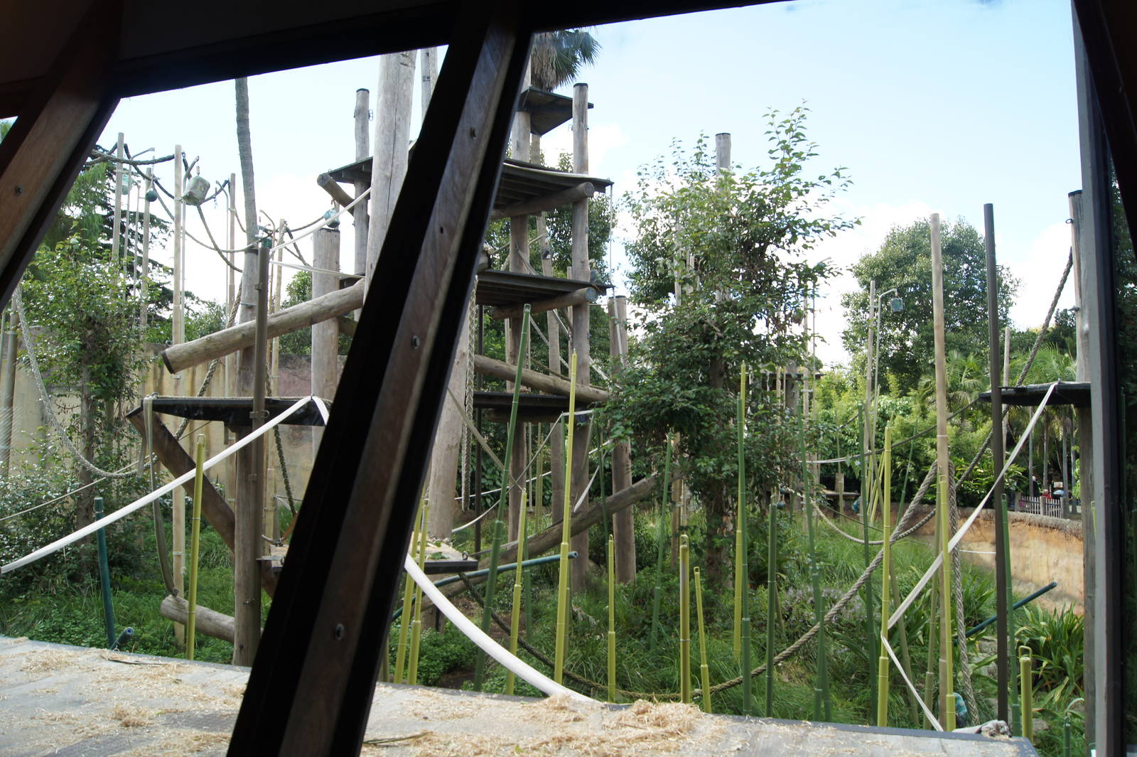 View into the open exhibit