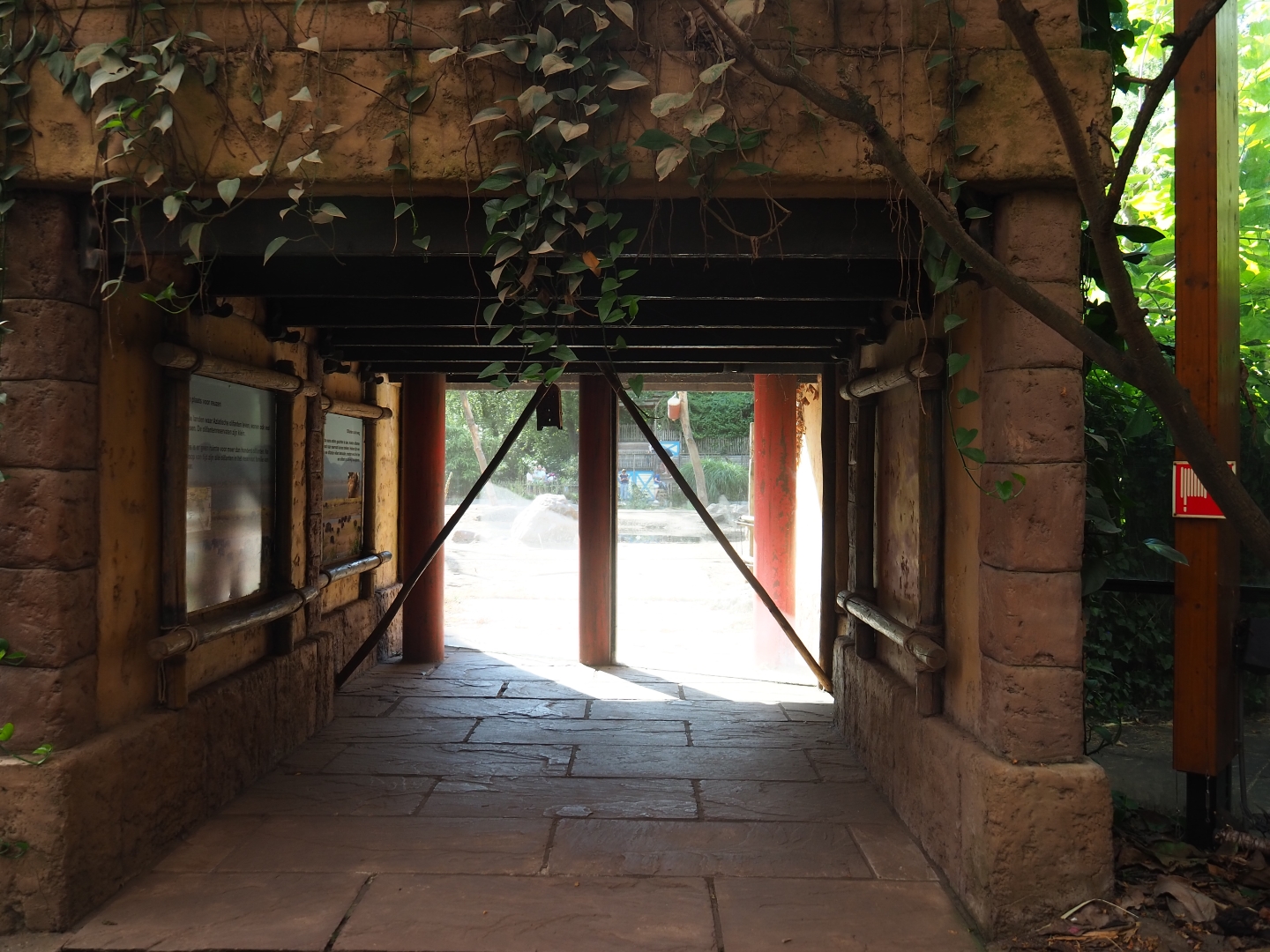 View into the outdoor elephant paddock