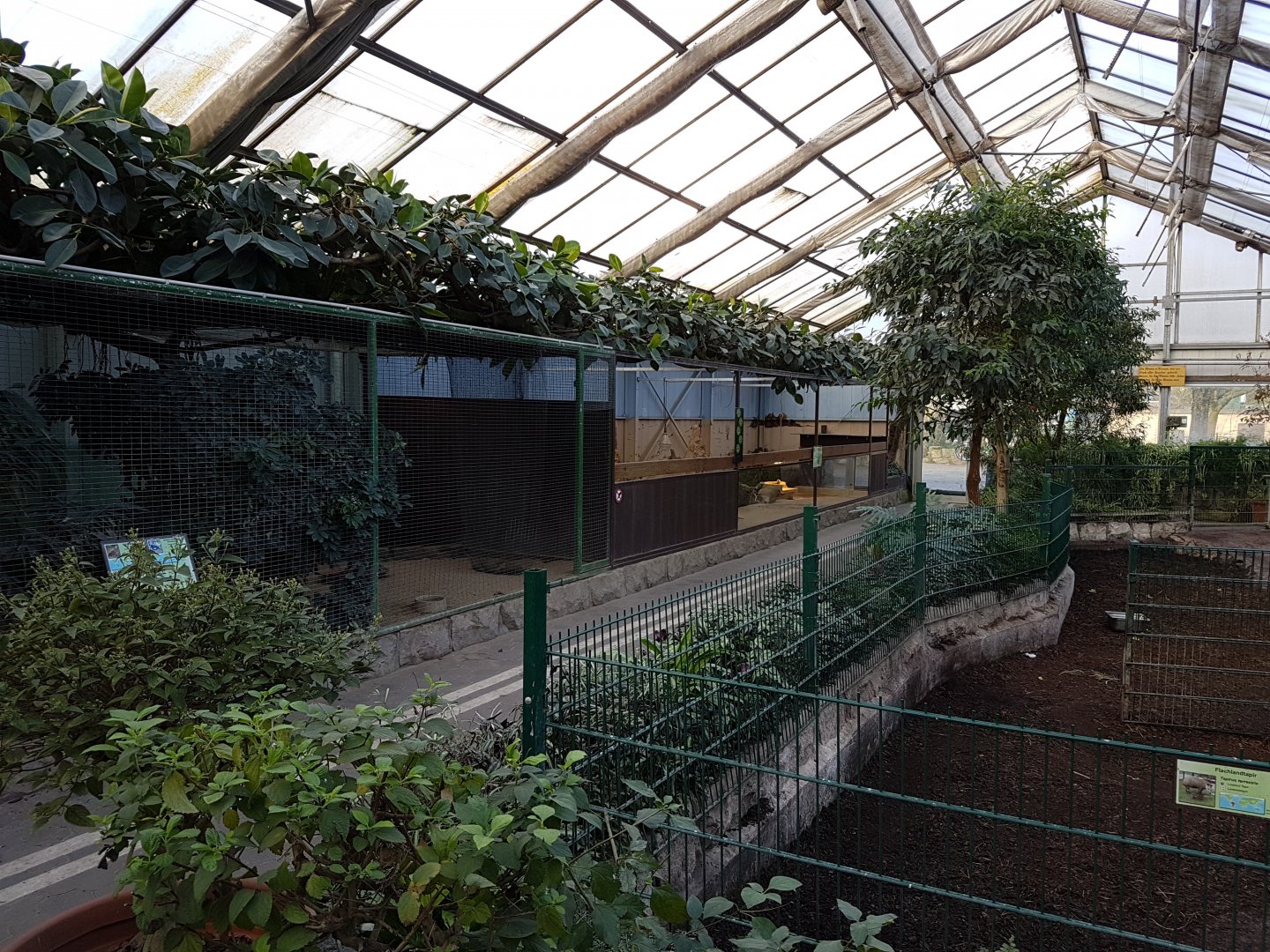 View into the Paradies-halle