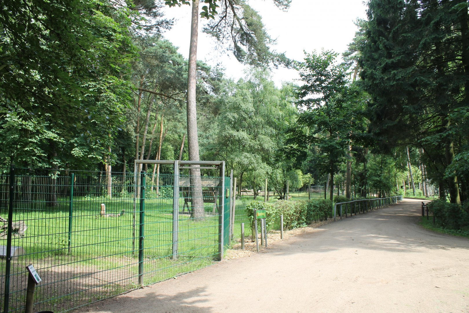 View into the Park