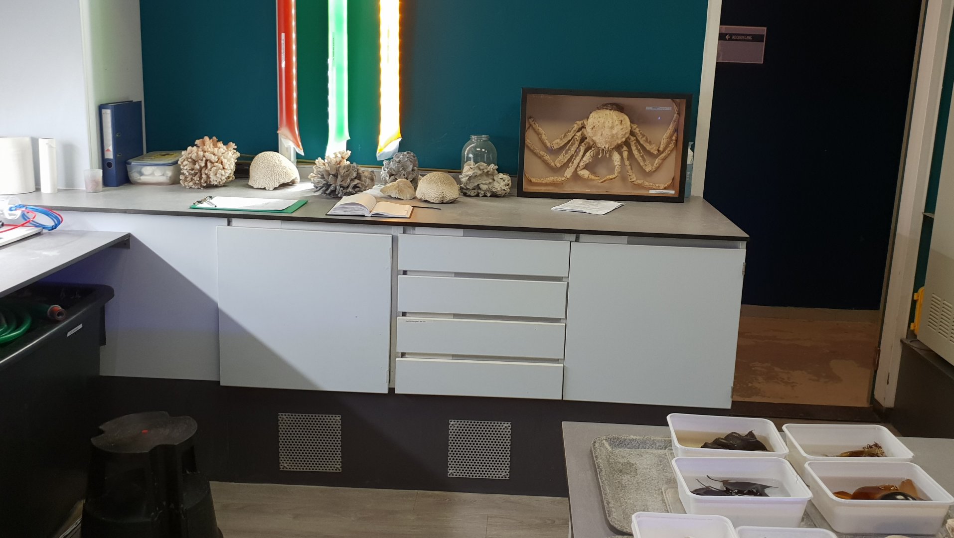 View into the Public Marine Lab