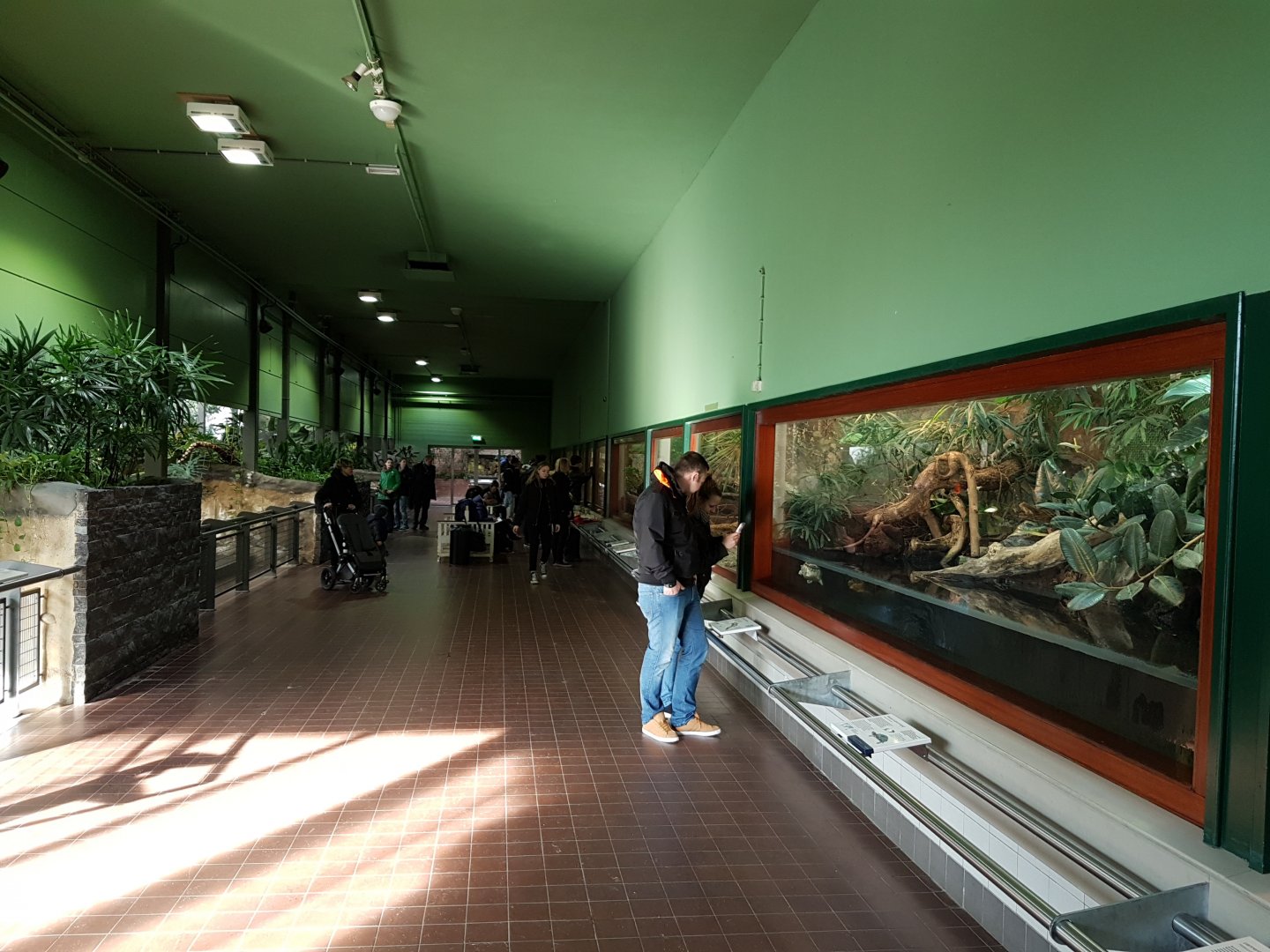 View into the Reptilian-house