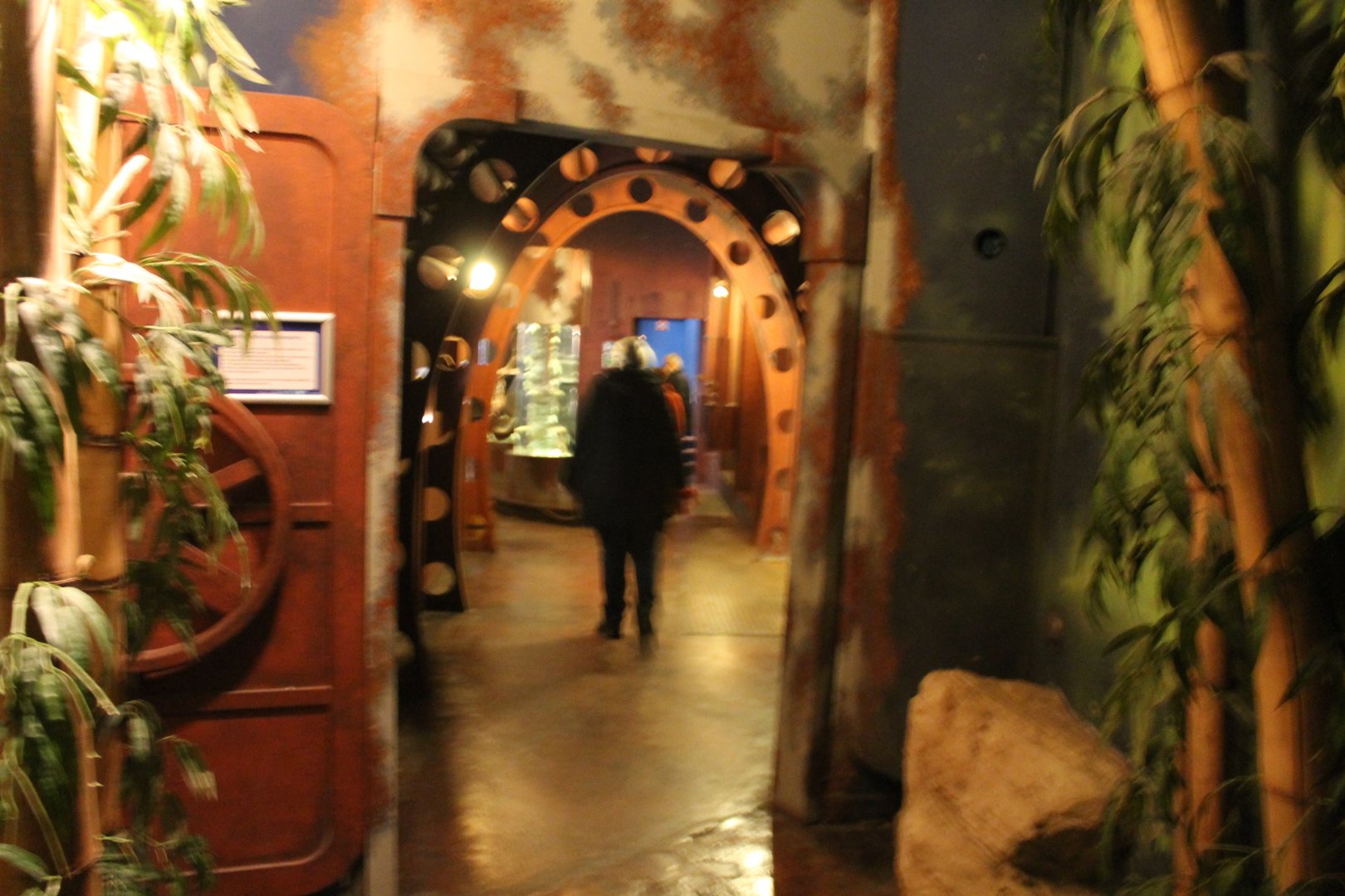 View into the Submarine