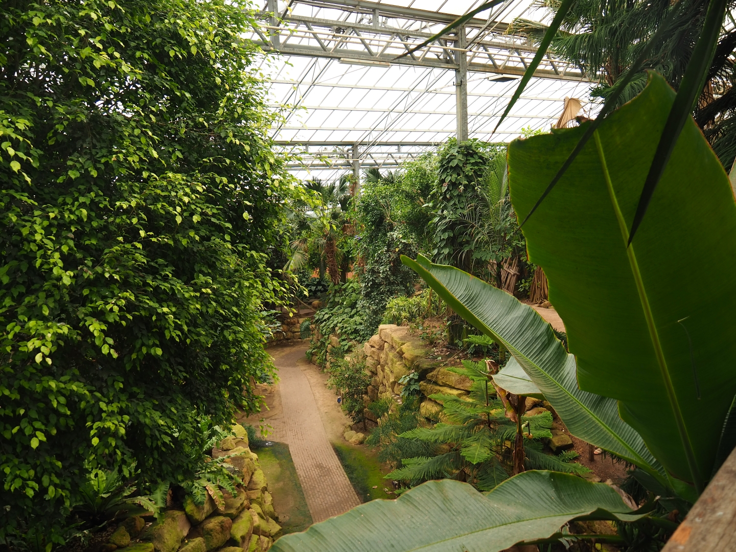View into the Tropical hall (Aug 28th, 2018)