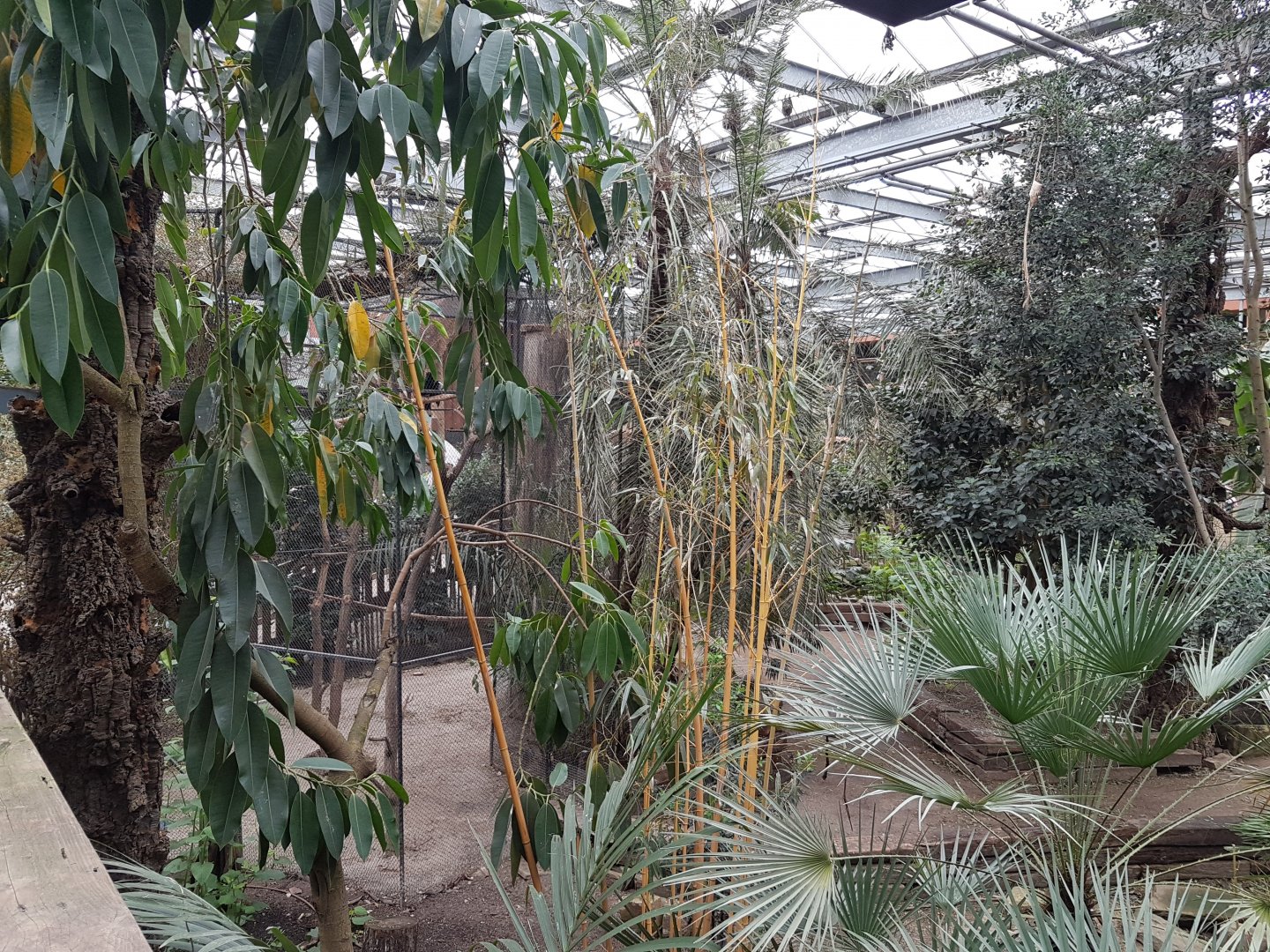 View into the Tropical Hall