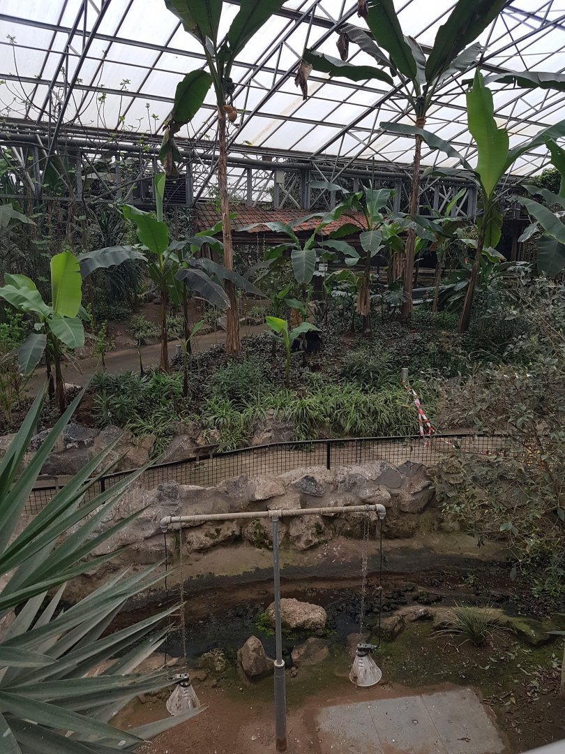 View into the Tropical Hall