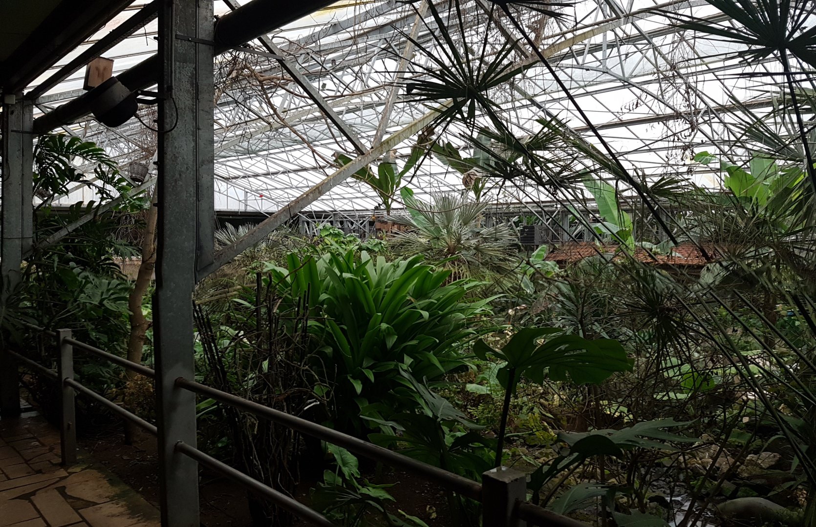 View into the Tropical Hall