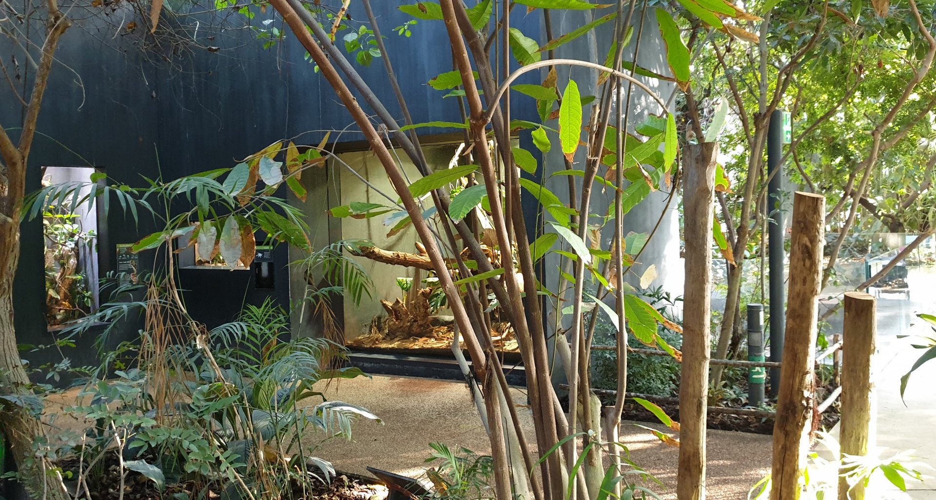 View into the Tropical Hall