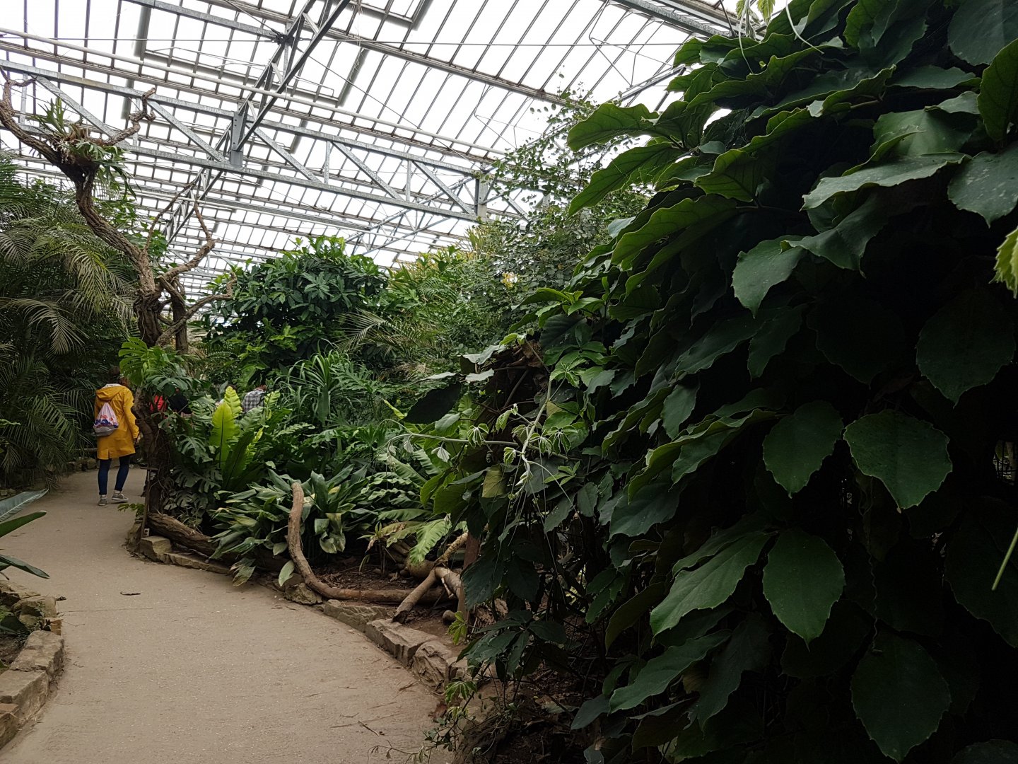 View into the Tropical House
