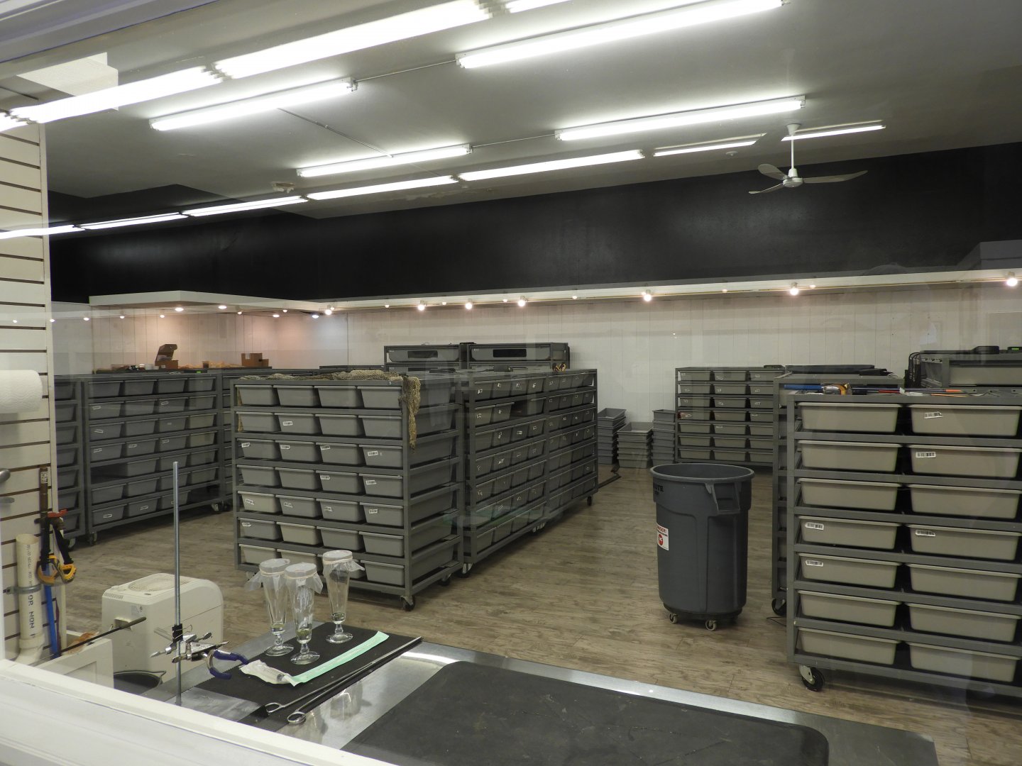 View into the venom lab