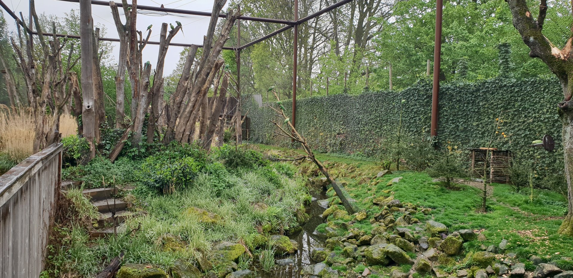 View into the Vreemde Vogels Voliere