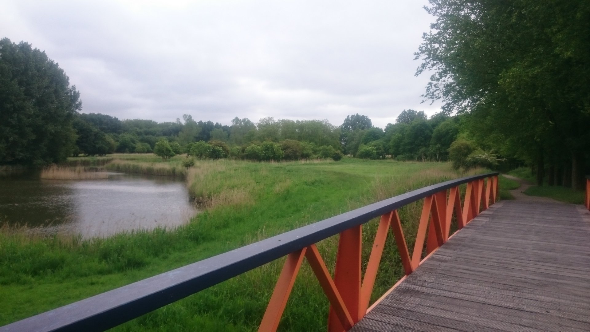 View into the Walk-through enclosure