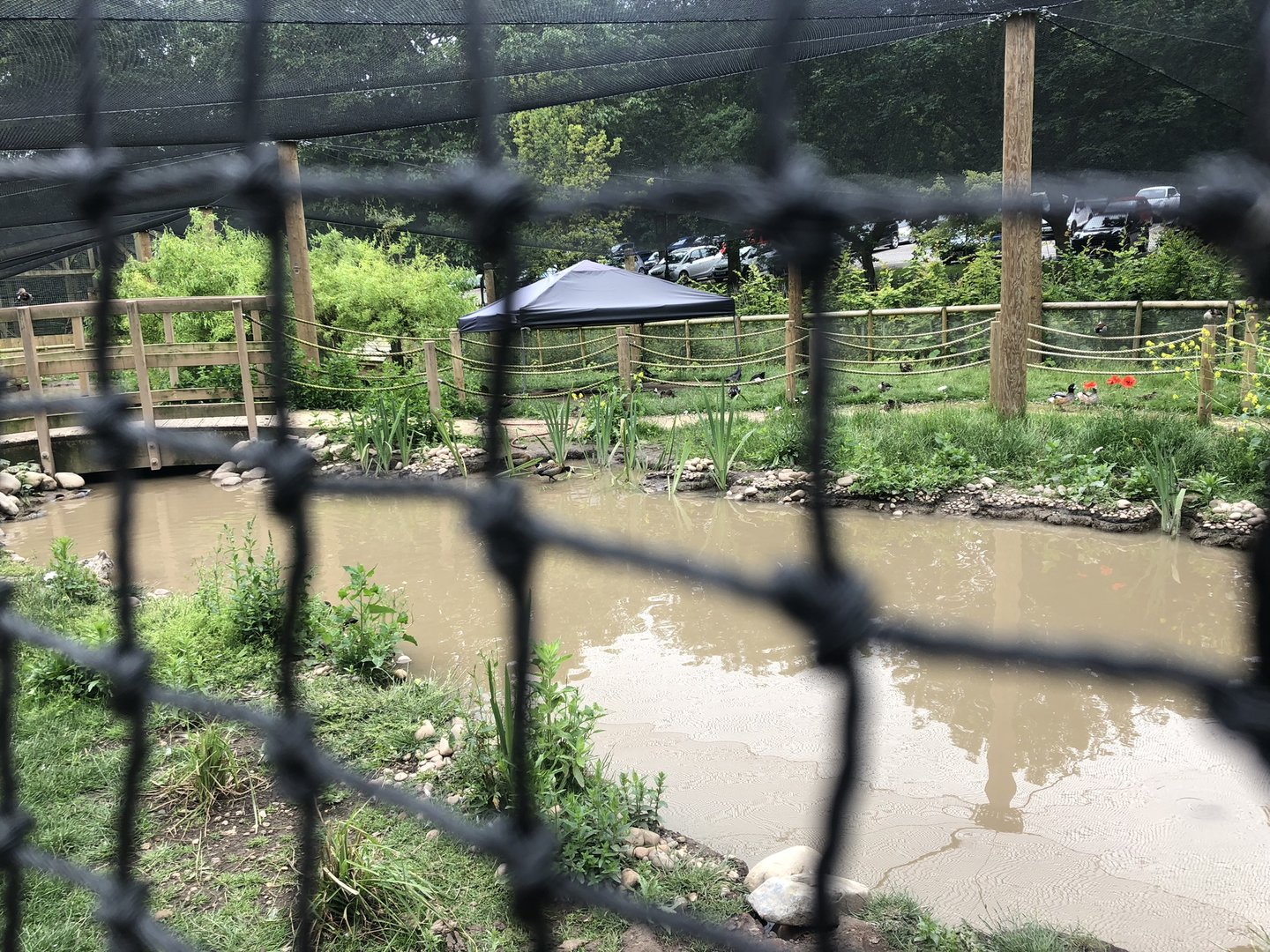 View into the Walkthrough Aviary at Sewerby Zoo (June 2023)