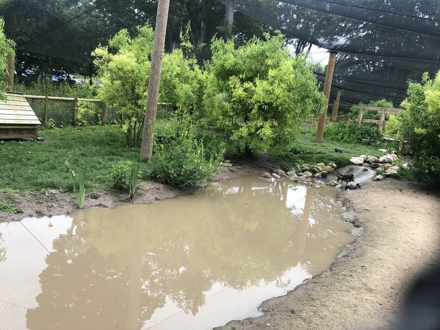 View into the Walkthrough Aviary at Sewerby Zoo (June 2023)