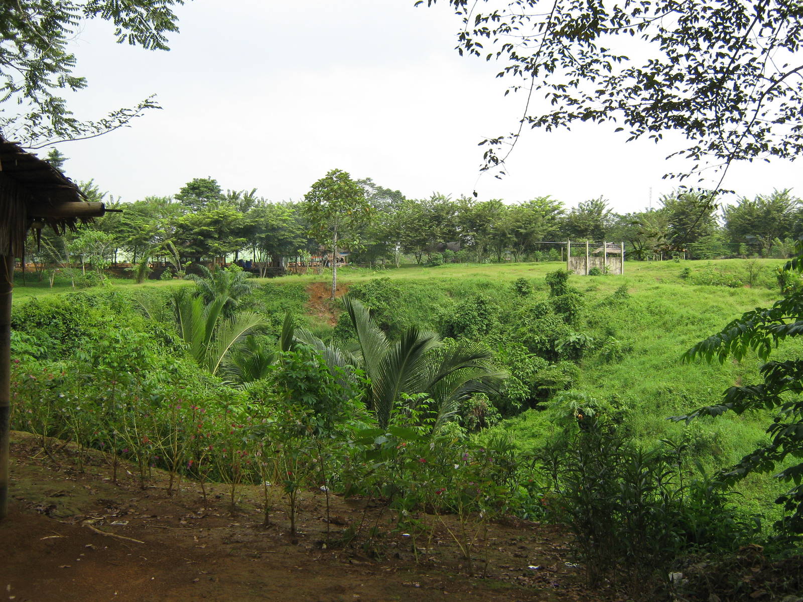 view into the zoo interior