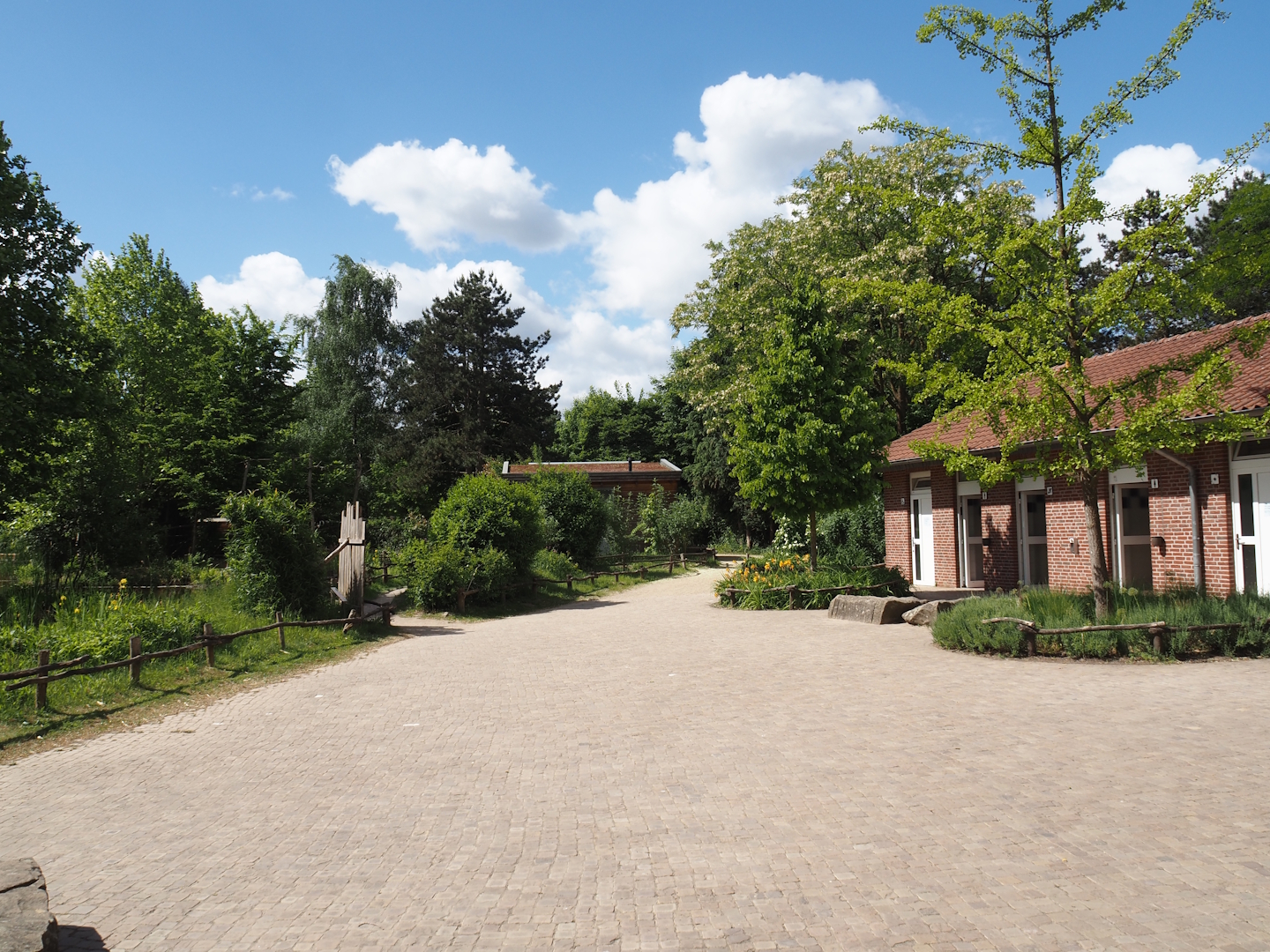 View into the zoo right behind the entrance, towards the gibbon and tamarin exhibits, 2025-05-22