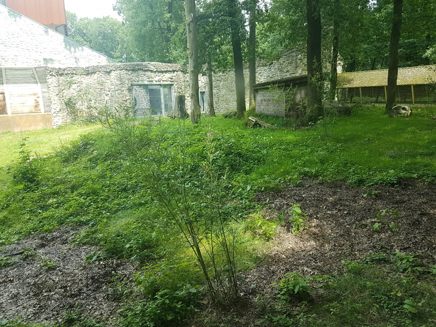 View into Tiger-enclosure