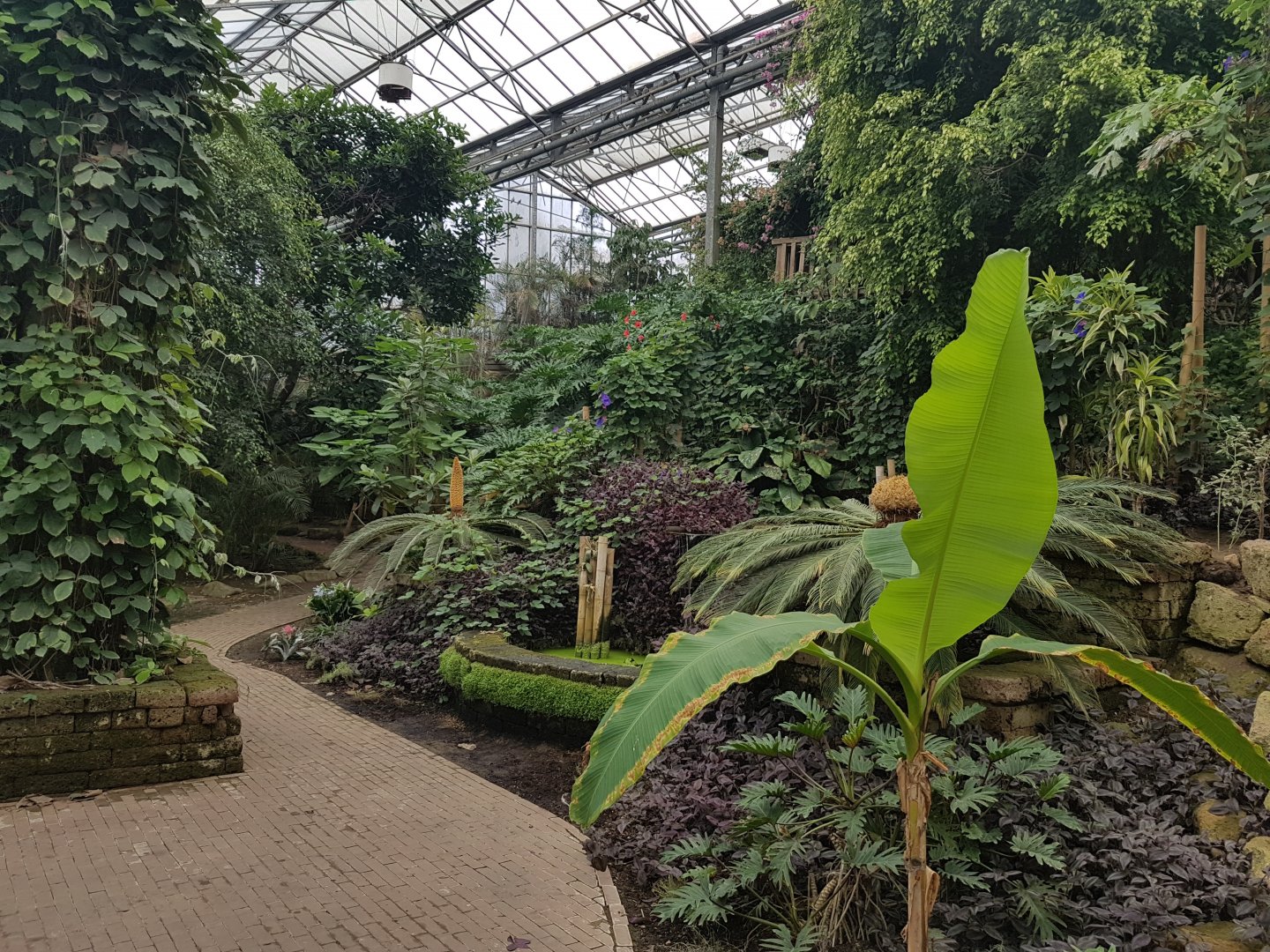 View into Tropical Hall