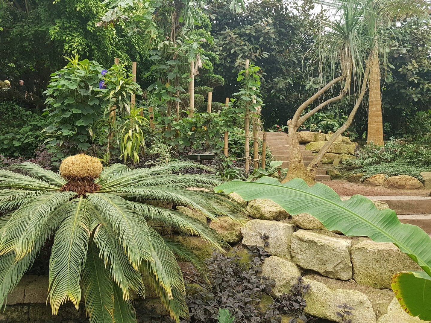 View into Tropical Hall
