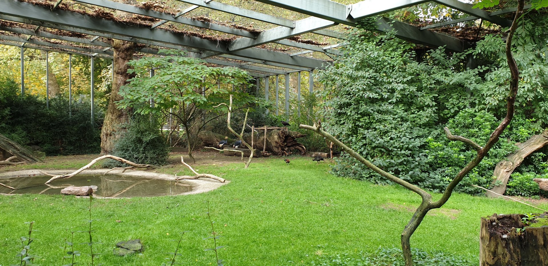 View into Wading bird / Vulture aviary next to Hippo-house