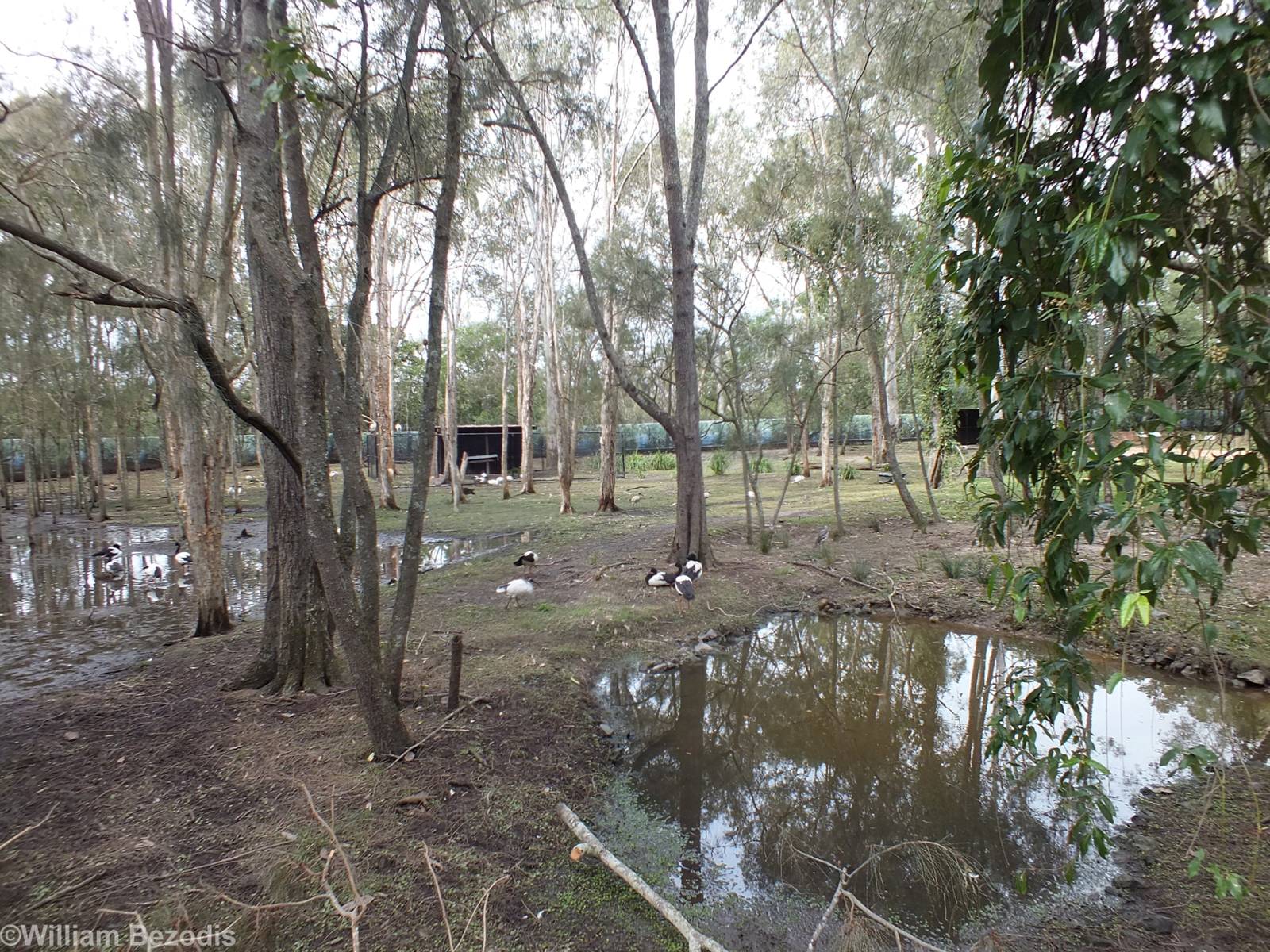 View into Walkthrough Enclosure