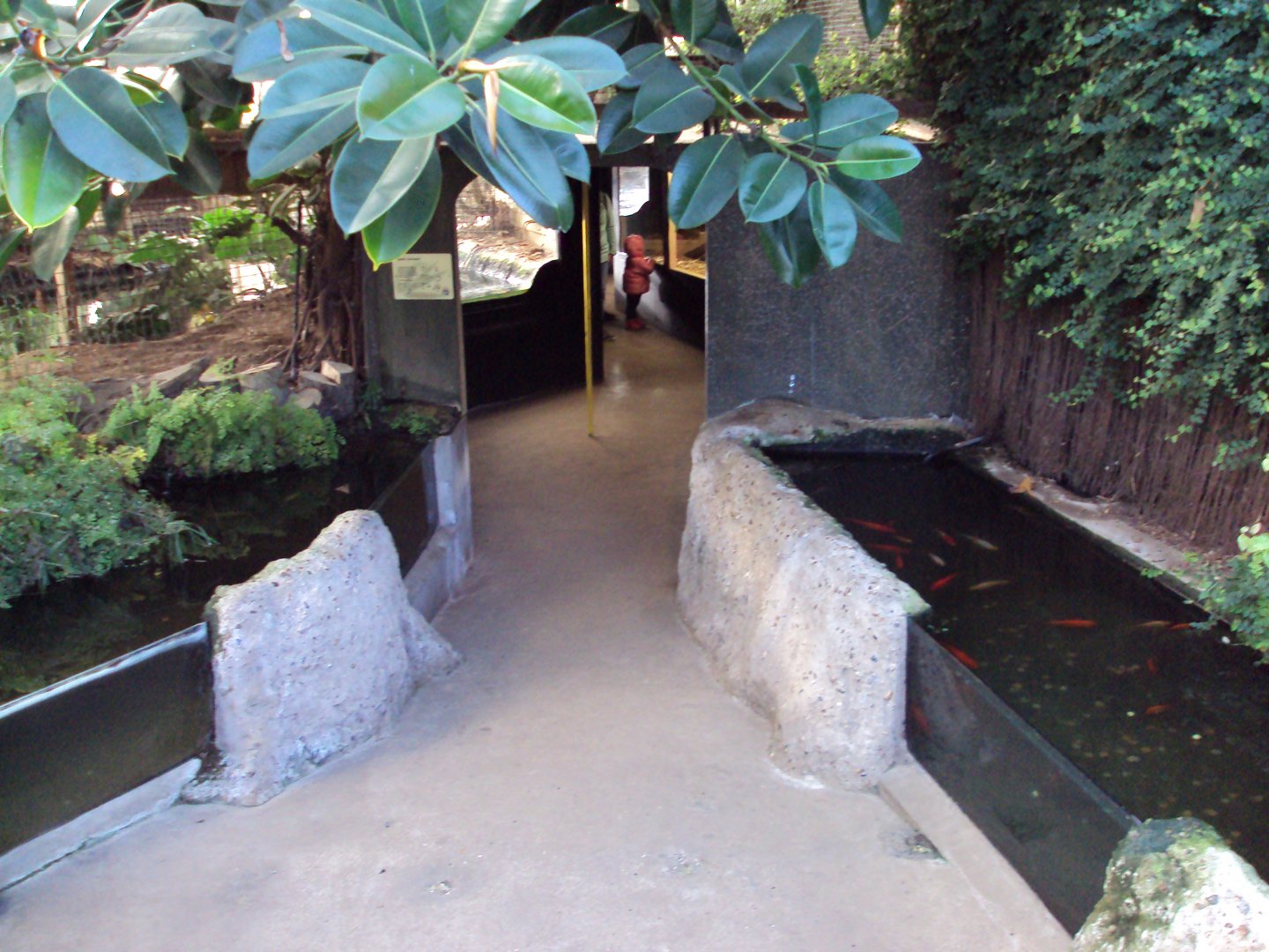 View just in the entrance of the Croc House 27/10/2019