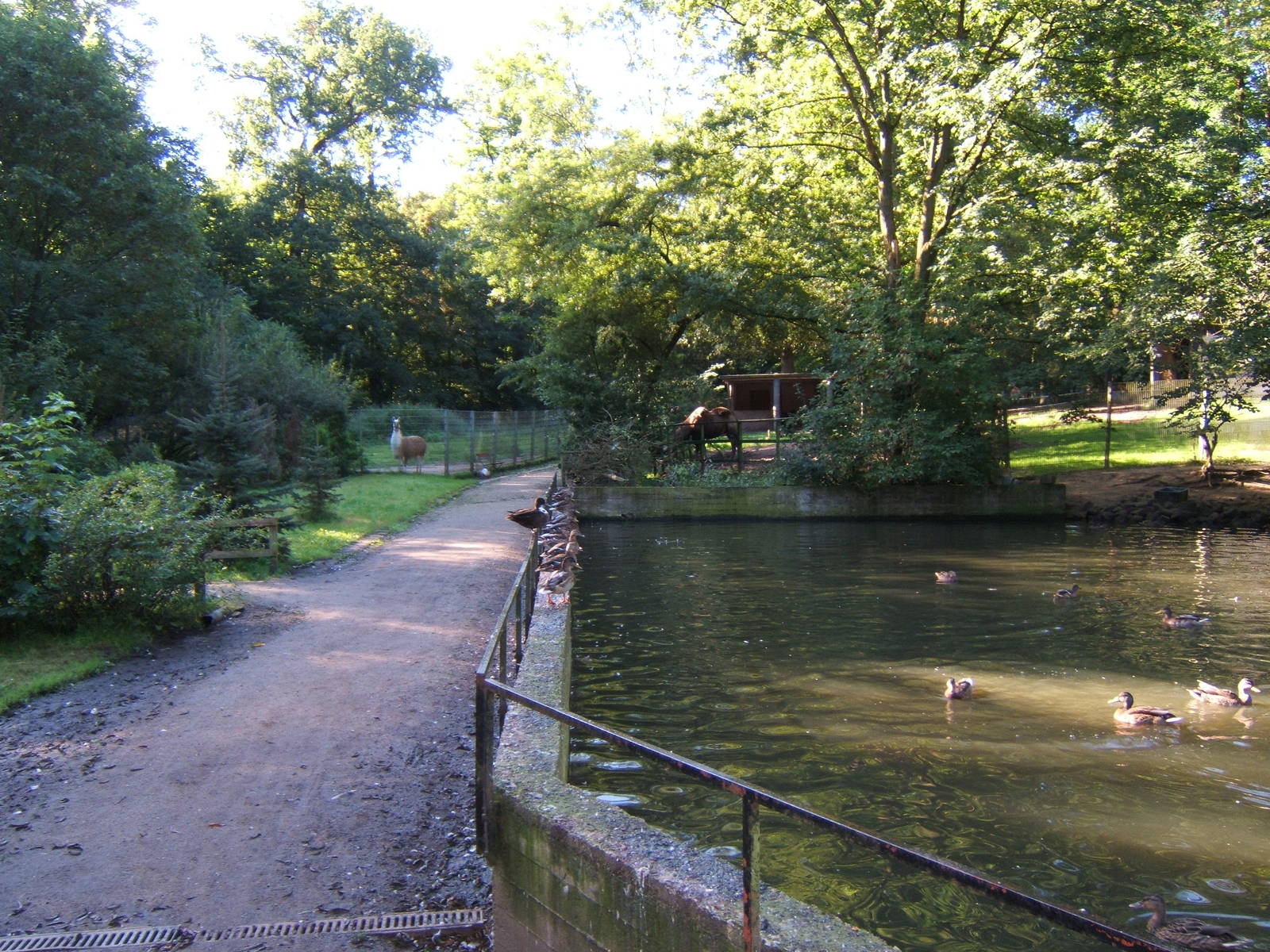 View just inside the Zoo