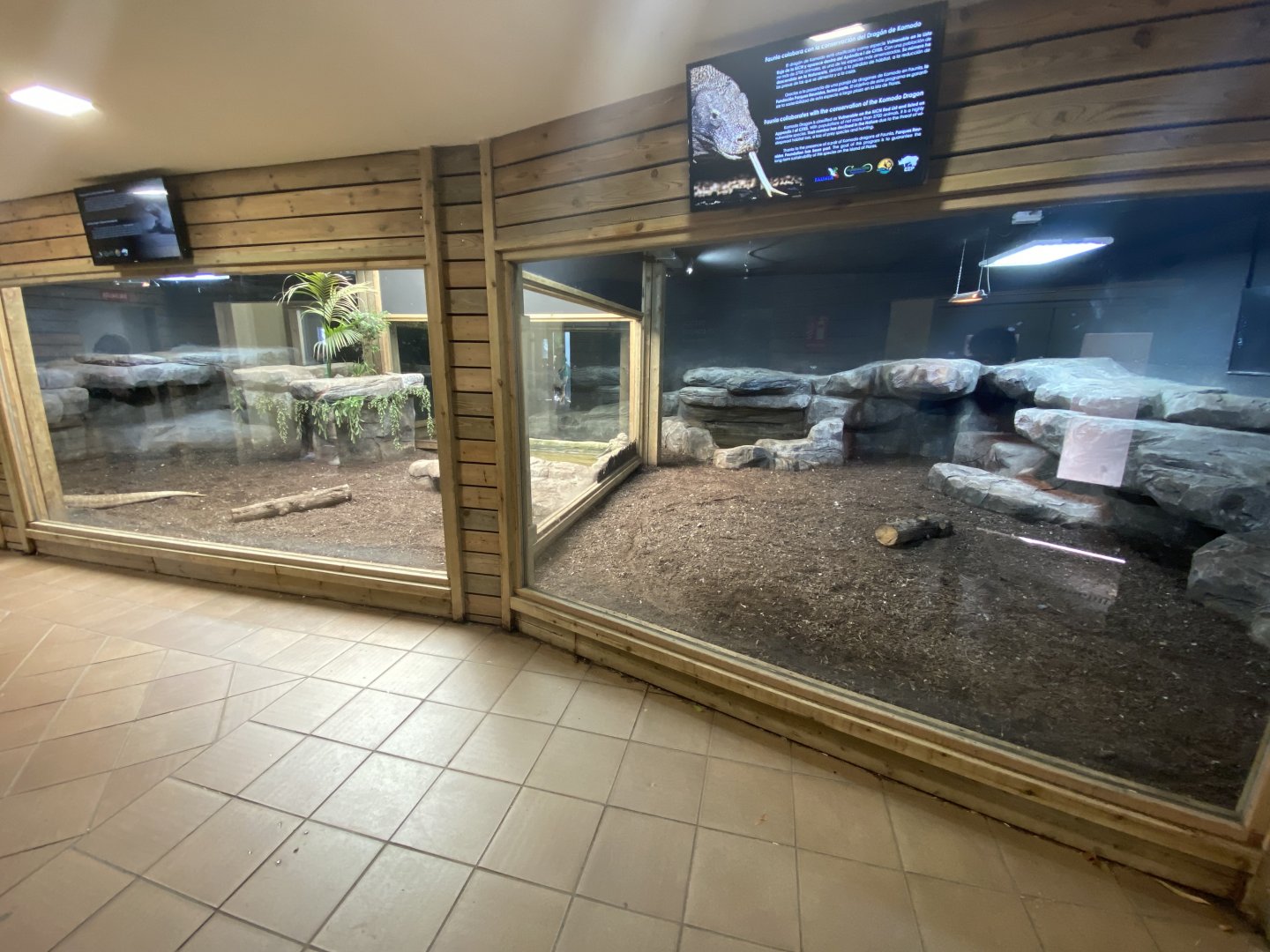 View Komodo dragon house