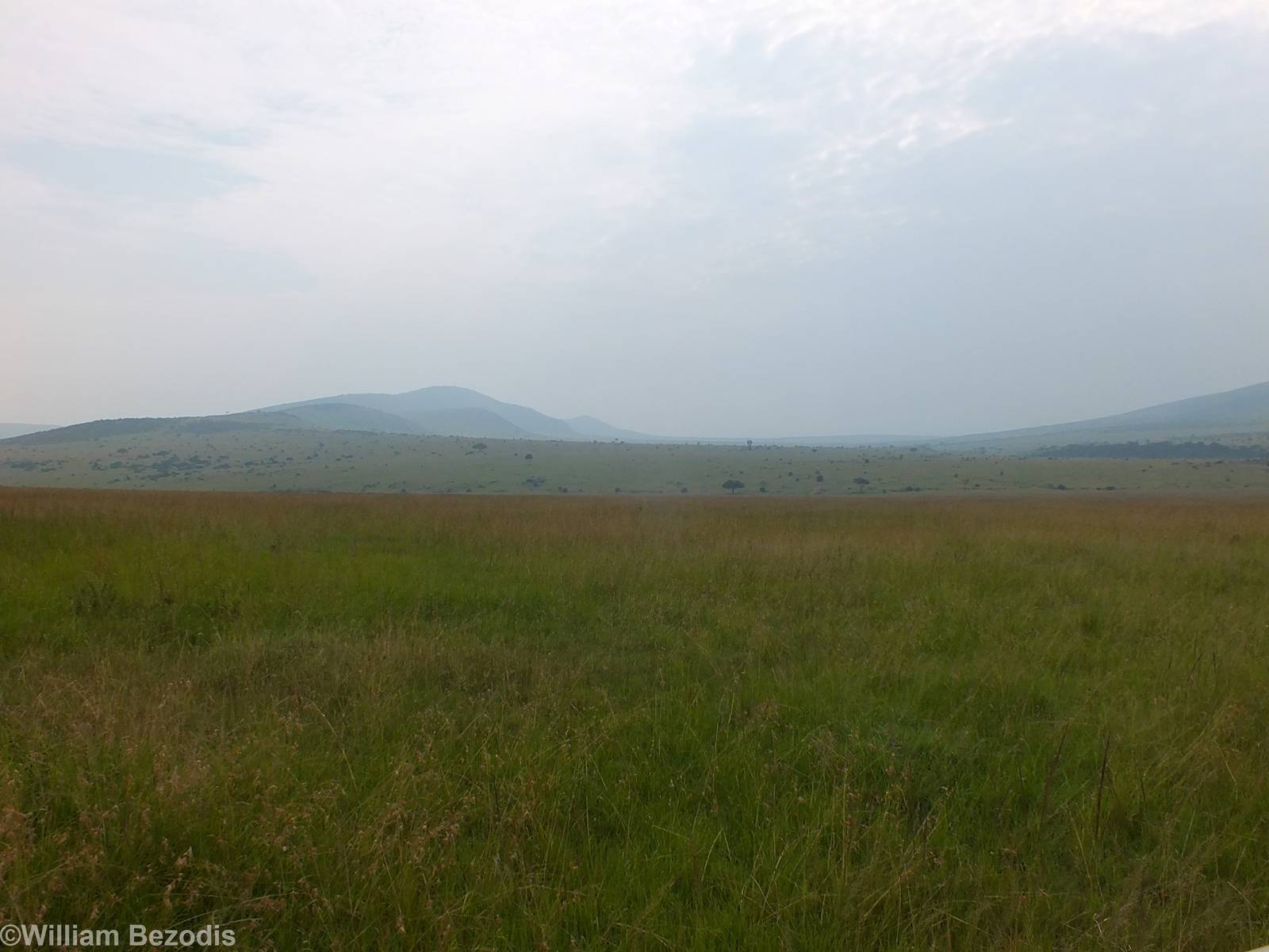 View - Maasai Mara