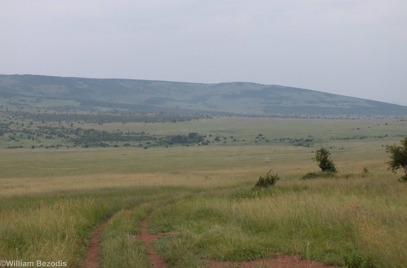 View - Maasai Mara