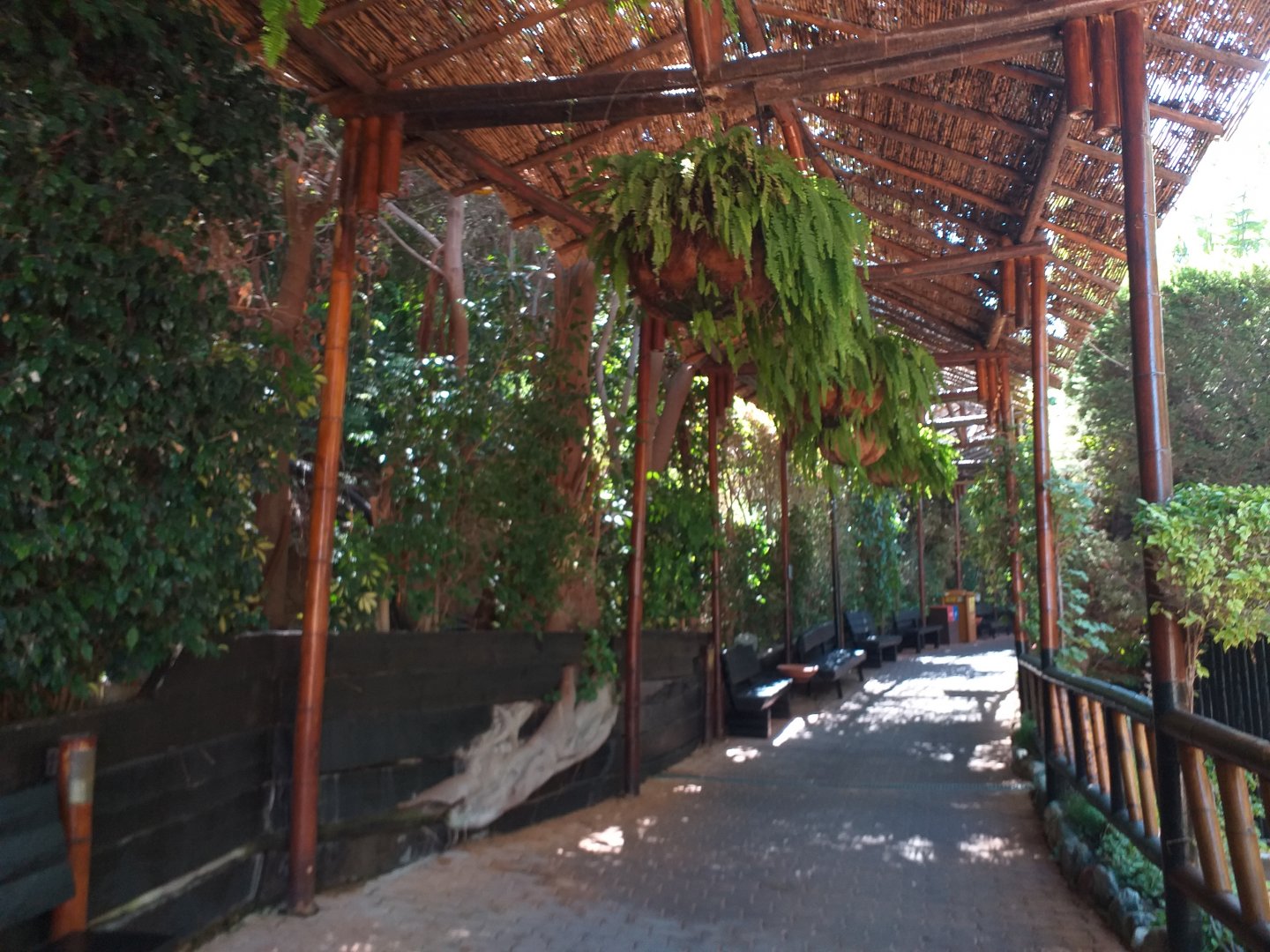 View -MundoMar Benidorm (2021)