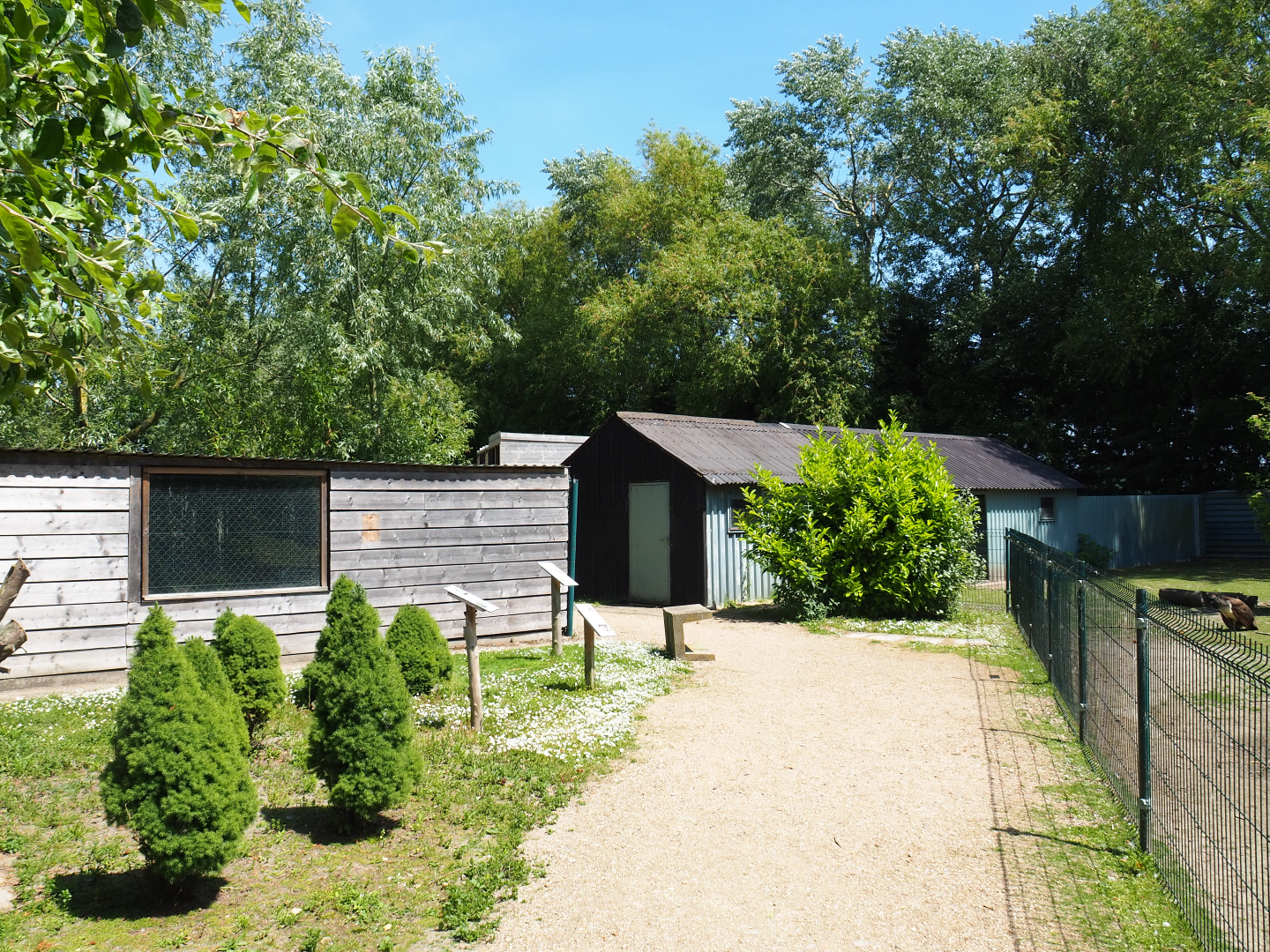 View near capybara, duck, slider and stork exhibit, 2019-06-01