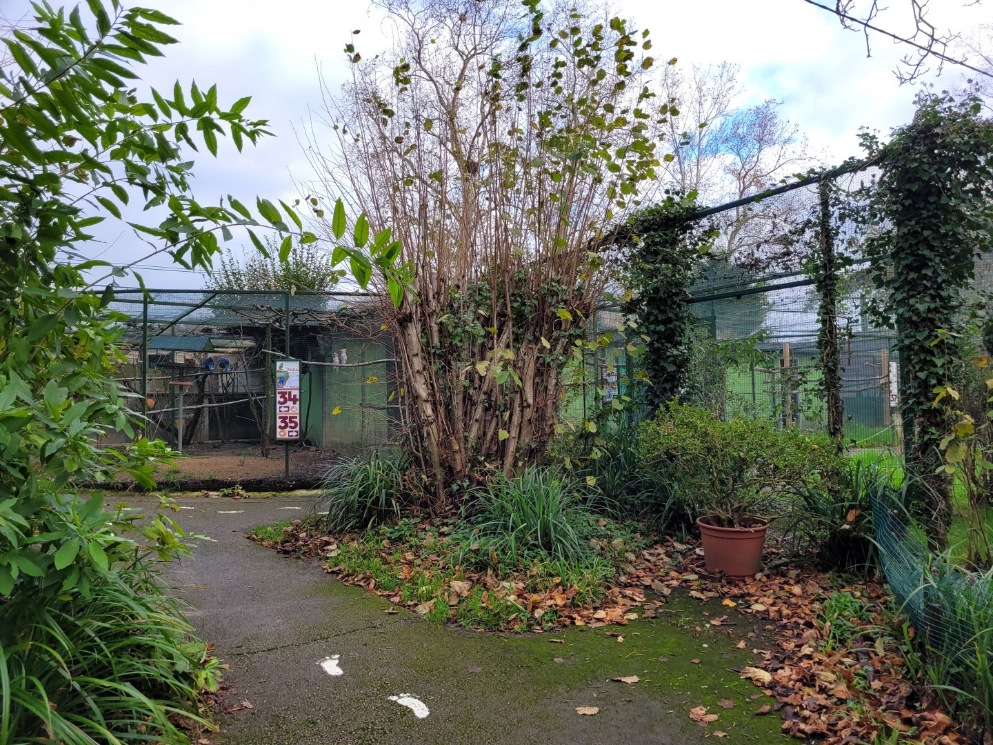 View near the aviaries -Zoo de Santillana del Mar (2023)