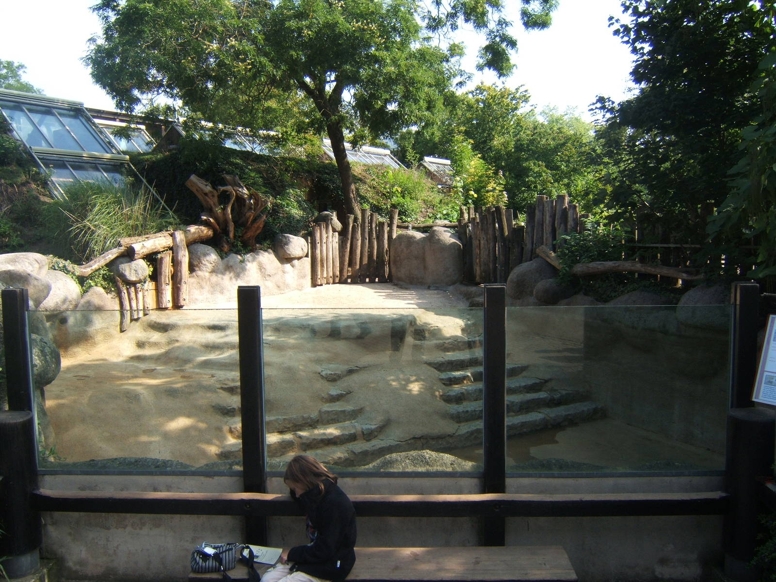 View of 1 of the outdoor Hippo enclosures