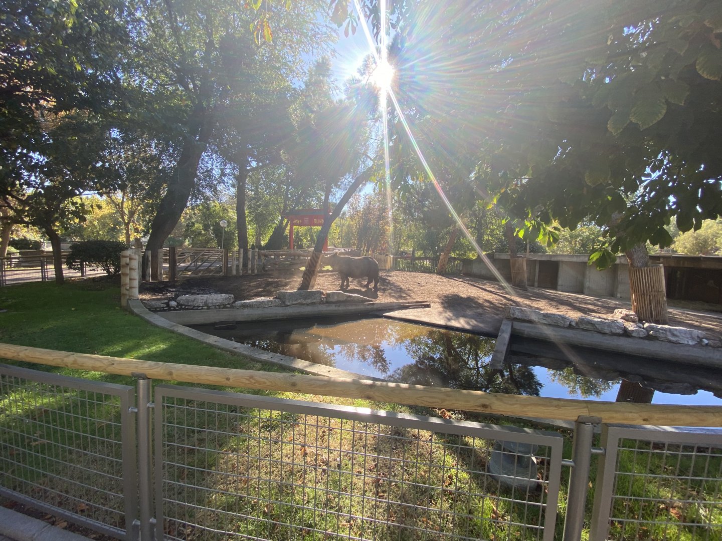 View of 1st greater one-horned rhino enclosure